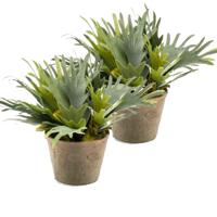 Kunstplant Staghorn varen - 2x - groen - in grijs betonlook pot - 38 cm