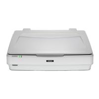 Epson Expression 13000XL Flatbed scanner 2400 x 4800 DPI A3 Wit - thumbnail