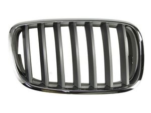 Radiateurgrille 6502070096992PP