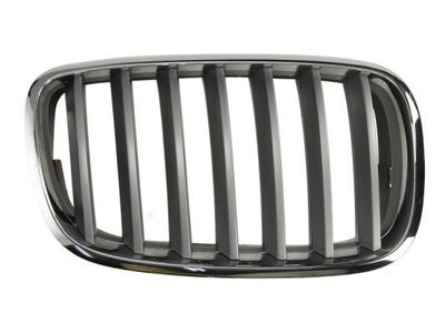 Radiateurgrille 6502070096992PP