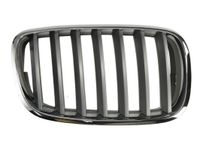 Radiateurgrille 6502070096992PP Radiateurgrille 6502070096992PP