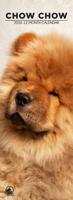 Chow Chow Slimline Kalender 2026