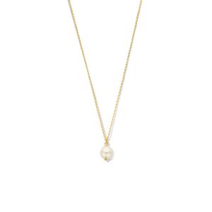 Ketting Parel zilver goudkleurig 1,1 mm 45 cm