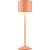 LED Tafellamp - Musterring Marisa - 1 Lichtpunt van 3 Watt - Dimbaar - Aanpasbare Lichtkleur - Hoogte Aanpasbaar - Geheugenfunctie - Nachtlamp - Afstandsbediening - Oranje - Metaal