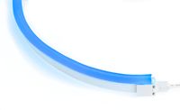 LED Neon Flex Flat Professional blauw 24V 10M met aansluitkabel 110-042