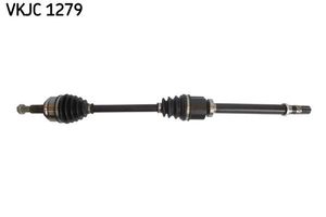 Ashoesset VKJC1279