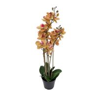 Phalaenopsis Orchidee in pot x3 60 cm Tiger Yellow kunstplant Buitengewoon de Boet - Buitengewoon de boet