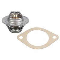 thermostaat 106240