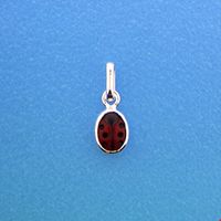 TFT Ketting Lieveheersbeestje zilver 1,4 mm 36 + 4 cm - thumbnail