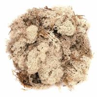 Decoratie nep mos - 2x - naturel - 50 gram - Hobby/knutselen - herfst/kerst thema decoreren