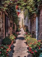 Saint Paul 50x70cm Tuinschilderij Customize-it - Customize it