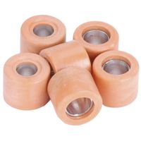 LeoVince Variateurrolset 19x15,5mm - 4,8gr