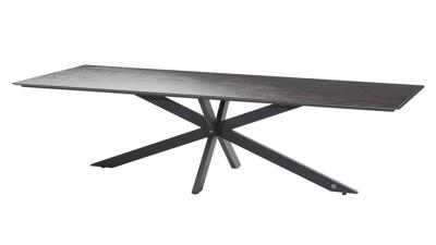 Minerva tafelframe Antracite met HPL tafelblad Slate Antracite 220 x 95 cm 4SO - 4so