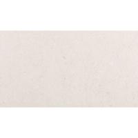 Pavigres Antica CV441 Wandtegel 247X447 White 7,5mm Mat