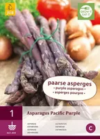 1 Asparagus Pacific Purple