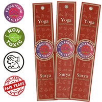 Yoga Wierook Surya - thumbnail