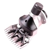 Heiniger Scheerkop schaap