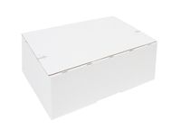 Postpakketbox IEZZY 2 200x140x80mm wit