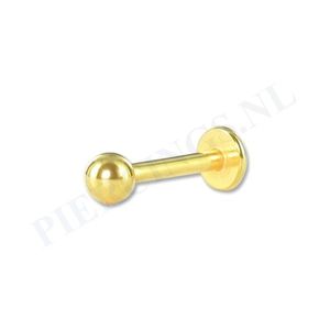 Labret 1.6 mm goudkleurig 12 mm