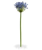 Agapanthus kunsttak Deluxe 60 cm lila