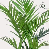 Kunstplant - Kentia -Kentiapalm - 180 cm Kunstplant - Kentia -Kentiapalm - 180 cm