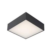 Lucide ROXANE - Plafonnière Badkamer - LED - 1x12W