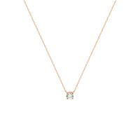 Ketting Ankerschakel roségoud-zirconia 40 - 42 - 44 cm