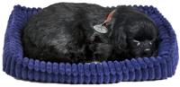 Perfect Pet Zzz soft black labrador (96323)