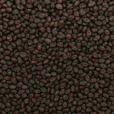 Rozijnen Ongezwaveld Klein 12,5 kg doos