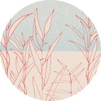 Noordwand Komar Dots Behangcirkel Grassland - D1-078