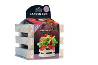 Baza garden box reuze aardbei