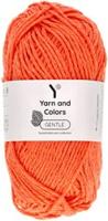 Yarn and Colors Gentle