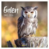 Uilen Kalender 2026