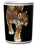 Dolce & Gabbana verre en porcelaine à imprimé tigre - Noir