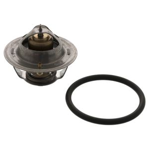 Thermostaat 18276