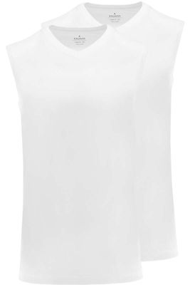 RAGMAN Body Fit T-Shirt V-hals Dubbel pak wit, Effen