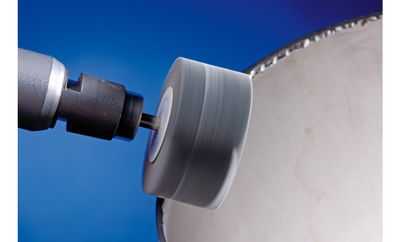 PFERD 44460120 Lamellenschijf Diameter 60 mm 10 stuk(s)