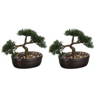 Atmosphera Kunstplant Bonsai boompje - Set van 2x stuks - 23 cm - in keramische - nepplant - boom