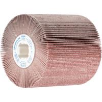 PFERD TOOLS 44783120 Vakschuurrol Diameter 100 mm 1 stuk(s)