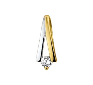 TFT Hanger Bicolor Goud Zirkonia
