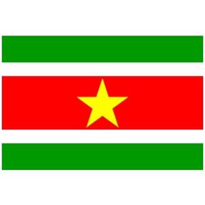 Klein formaat supporters landen vlag Suriname - 60 x 90 cm - Landen feestartikelen - polyester