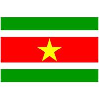 Klein formaat supporters landen vlag Suriname - 60 x 90 cm - Landen feestartikelen - polyester