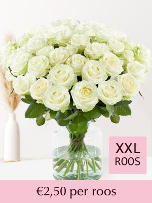Witte rozen - Kies je aantal (Avalanche) - 10 t/m 99 rozen