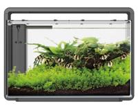 Superfish Home 65 Aquarium Zwart LED Zonsopgangsimulatie 60L 58.5x32x42.5 cm