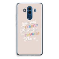 Right Place: Huawei Mate 10 Pro Transparant Hoesje