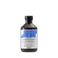 Davines Shampoo - NaturalTech Rebalancing - 250 ml