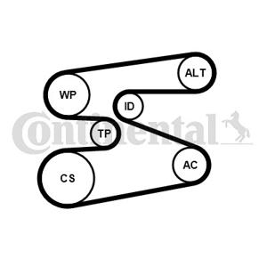 Poly V-riem set CONTINENTAL CTAM, u.a. für BMW, Alpina