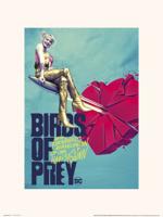 Kunstdruk Birds of Prey Broken Heart 30x40cm Kunstdruk Birds of Prey Broken Heart 30x40cm