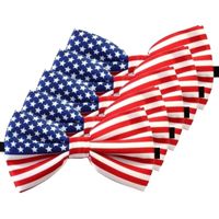 5x Amerika verkleed vlinderstrikjes 12 cm voor dames/heren