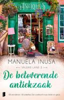 De betoverende antiekzaak (Paperback)